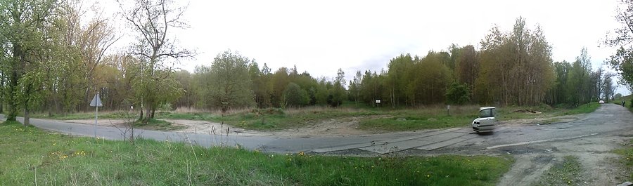Borki przy S86