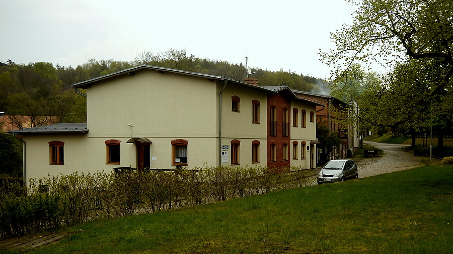 Również Mniszki