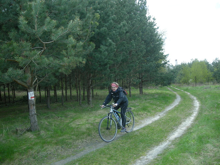 Na czerwonym rowerowym z Olsztyna w kierunku Zrębic