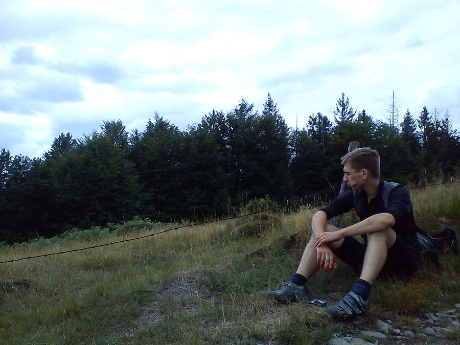 Pauza