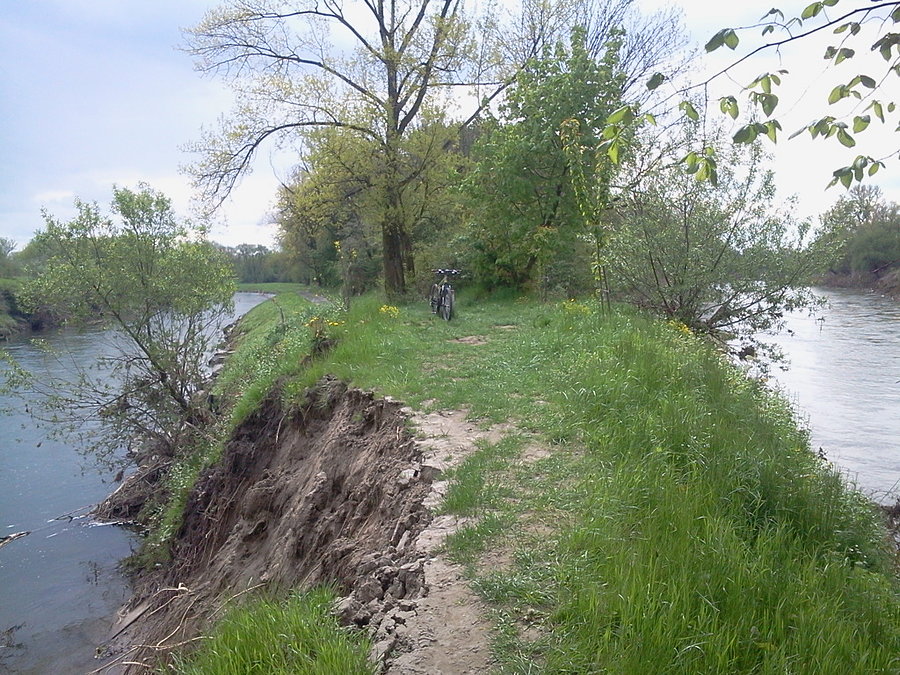 Olza po lewej i Odra po prawej