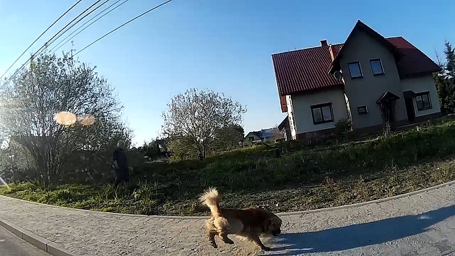 Próbował mnie zeżreć