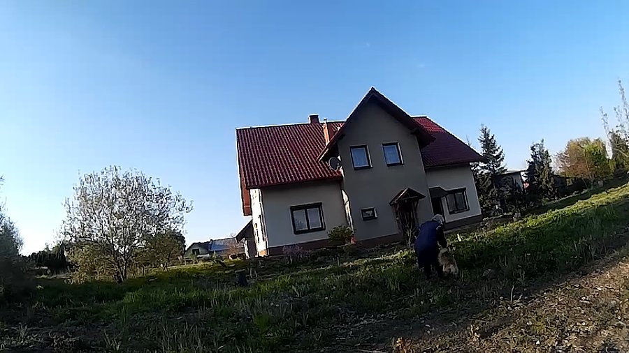 Właścicielka miała tow d...e