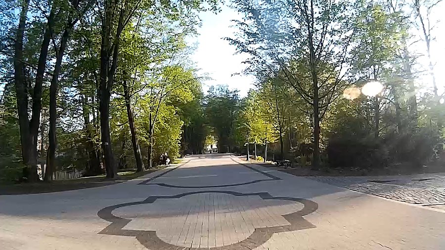 W parku przy pałacu w Pszczynie