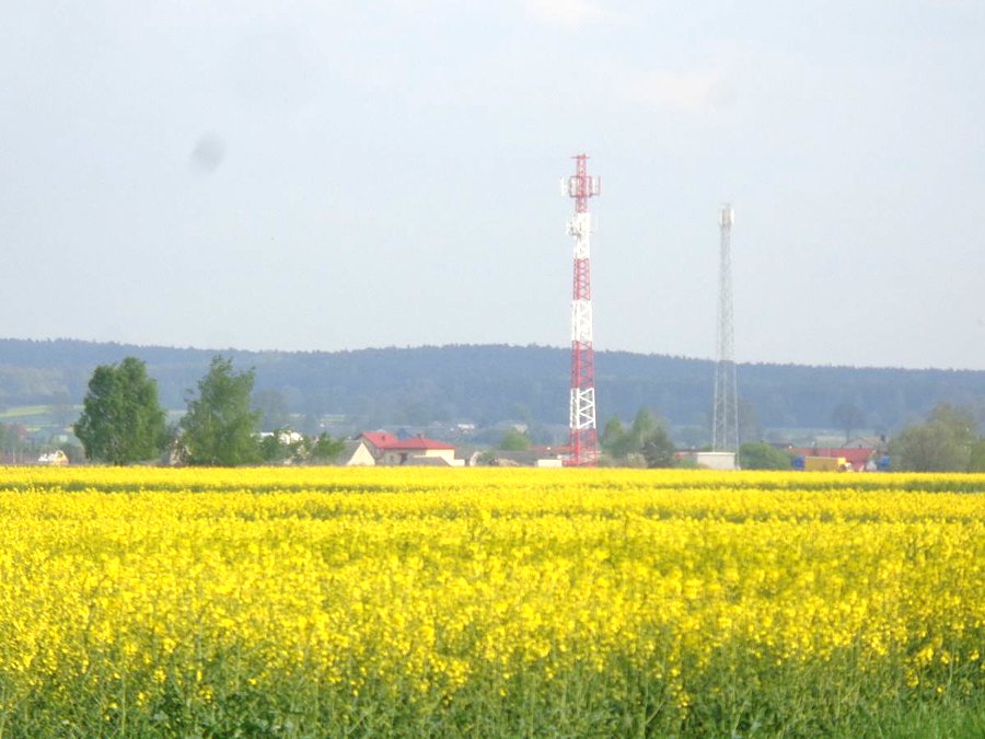 Pola..łąki