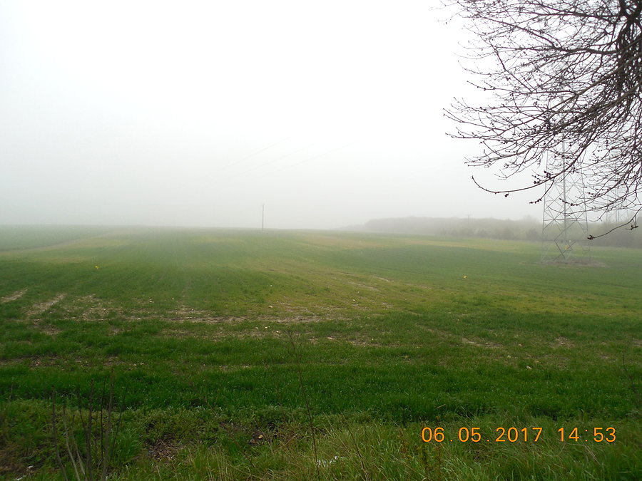 Mgła gęstnieje