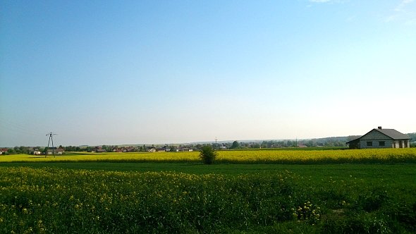 Pola w Jabłonnej