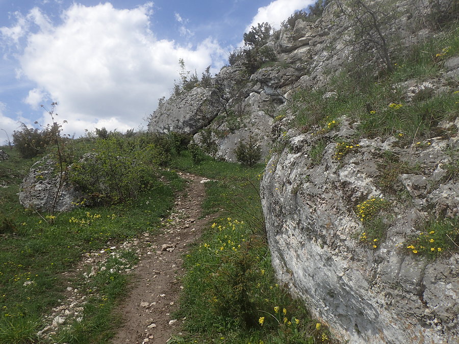 Ścieżka wśród skal
