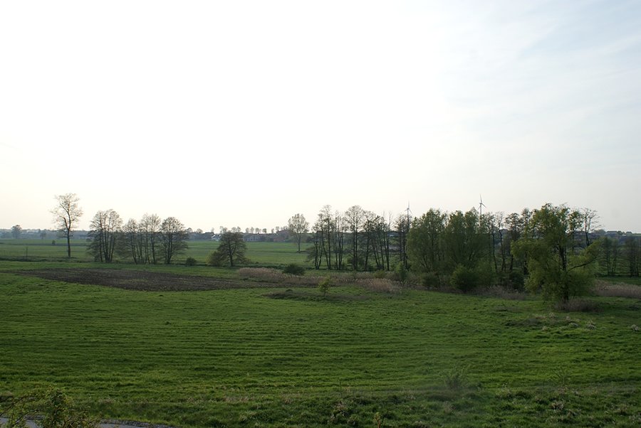 Natura-lnie