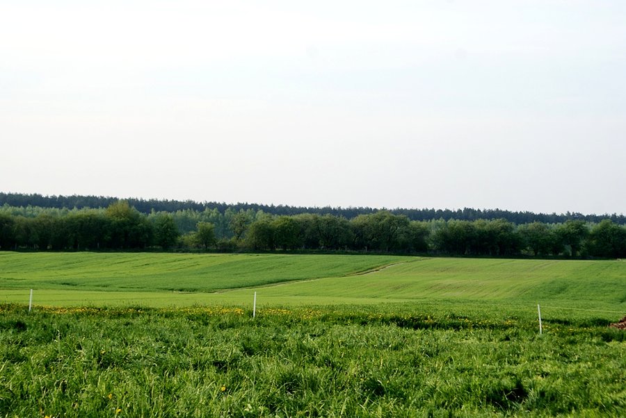 Faliste łąki i pola