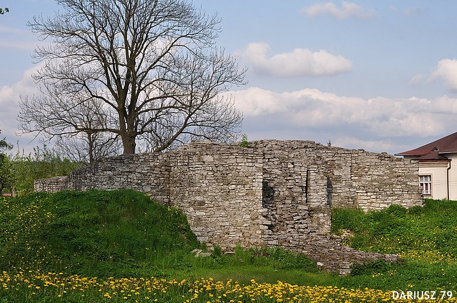 Sławków - Ruiny zamku