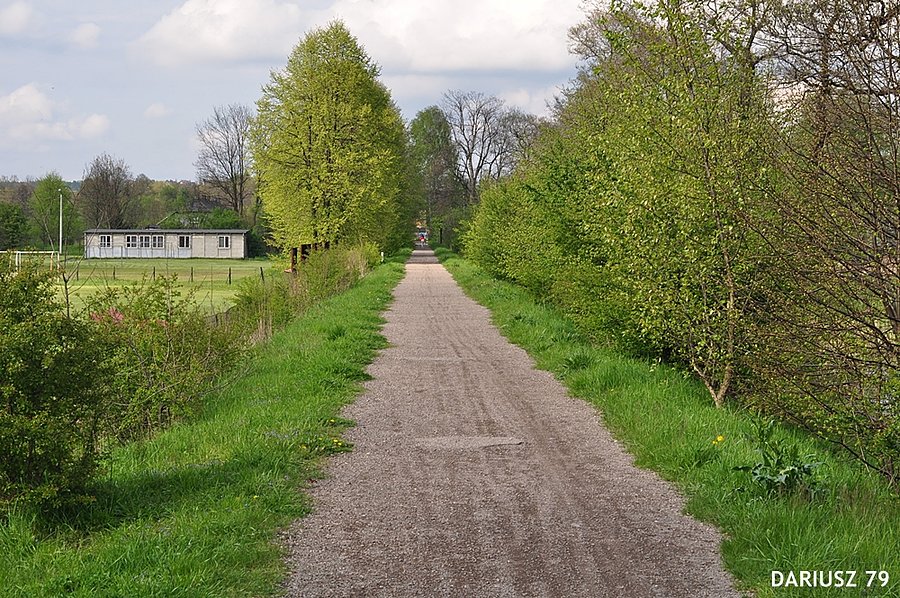 Sławków - Droga rowerowa