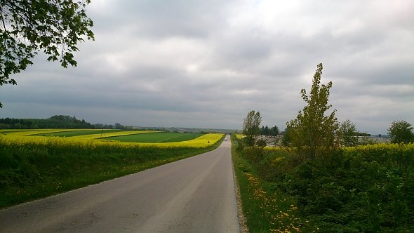 Droga na Krzczonów