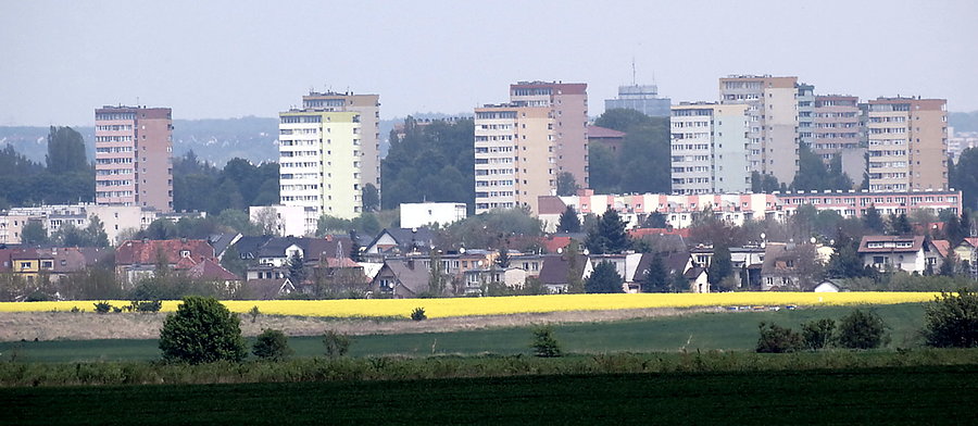 W oddali Szczecin - widok z trasy Kurów - Przecław