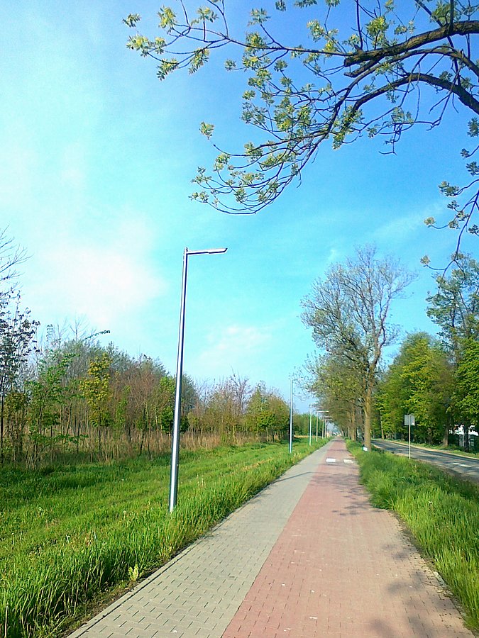 Ddr w Strzykułach