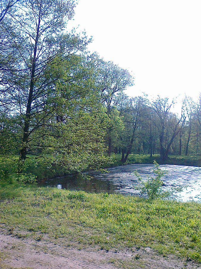 Jeden staw