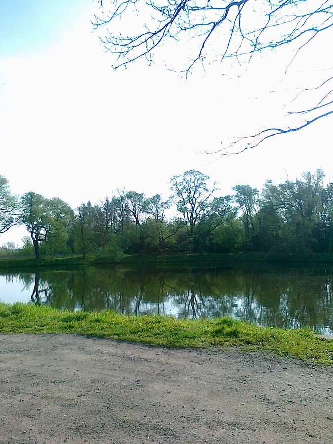 Drugi staw