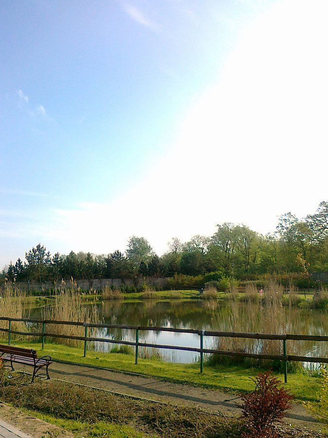 Trzeci staw