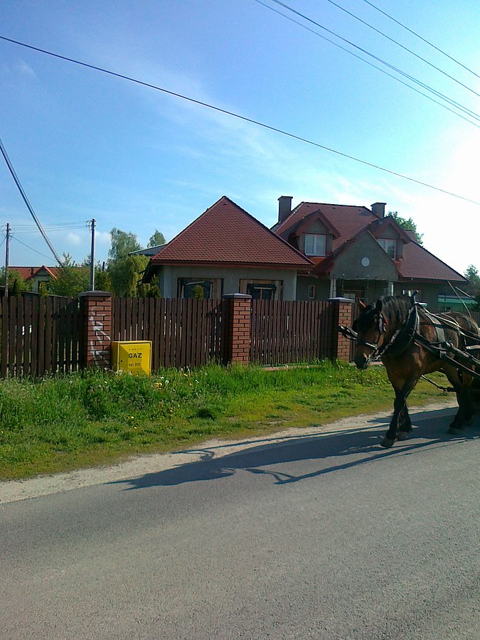 Tym razem za wcześnie i wóz nie zmieścił się w kadr