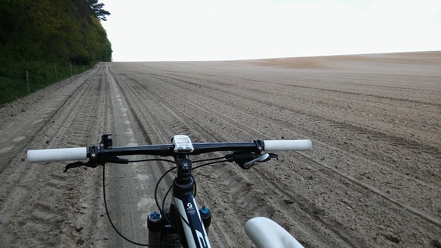 Się trafiło tu, bo badałem pewny leśny dukt