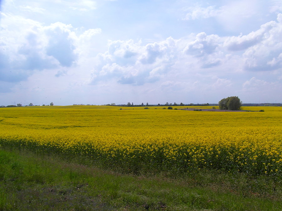 Okolice Schmagerow