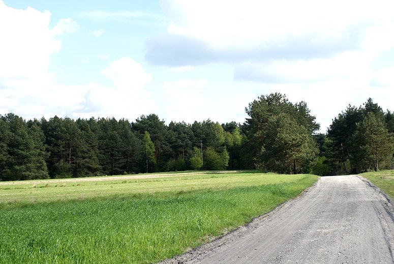 Na szlaku do Inowłodza
