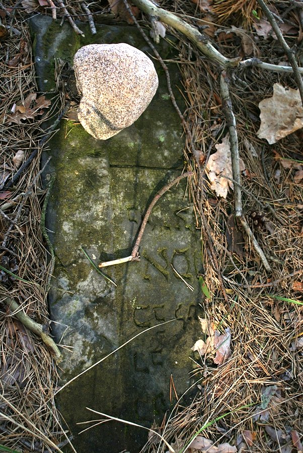 Macewa