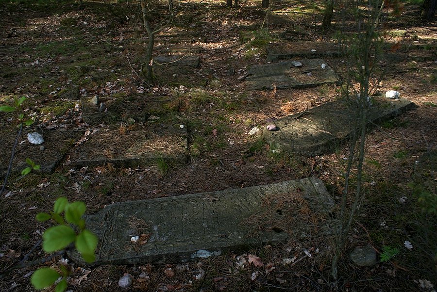 Macewa