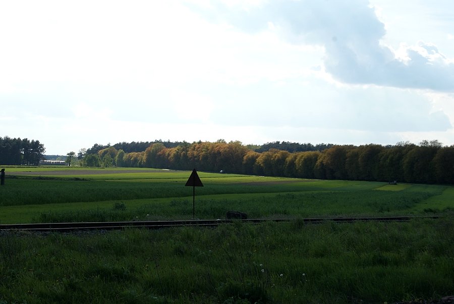 Tam świeci słońce