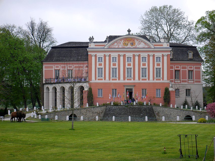 W Kurozwękach