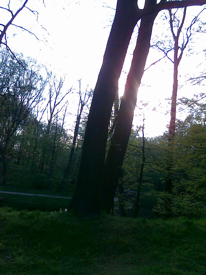 Przelotem przez park