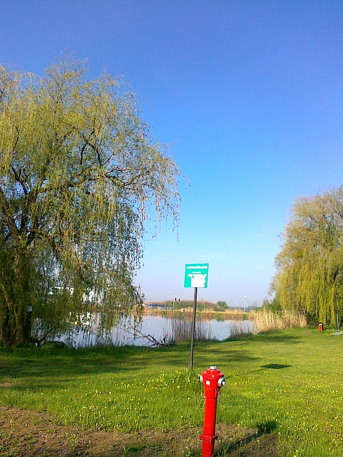 Zielono nad stawem w Zielonkach