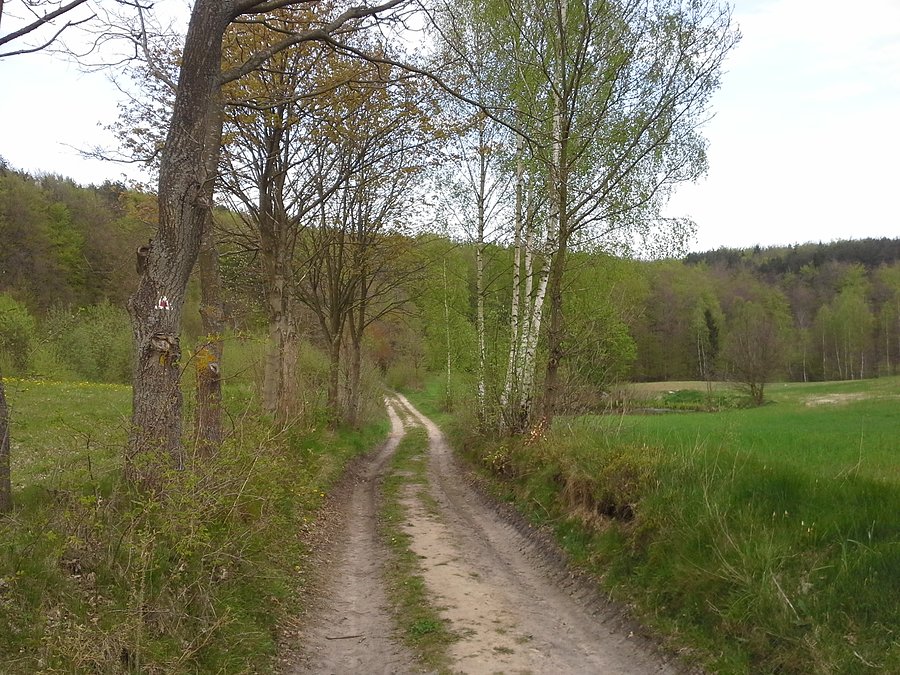 Kaszubskie, malownicze ścieżki
