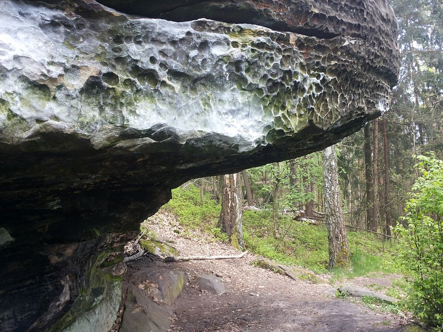 Skałki pod Adamowem