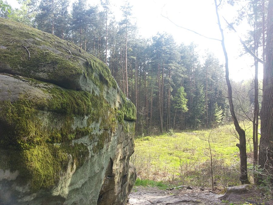 Skałki adamowskie