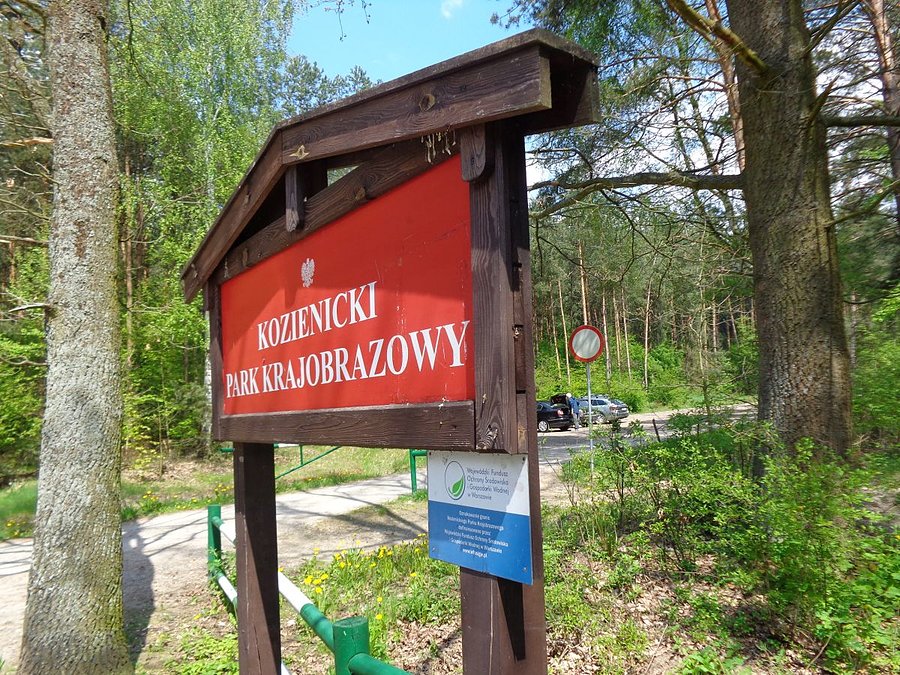Koło Puszczy Kozienickiej