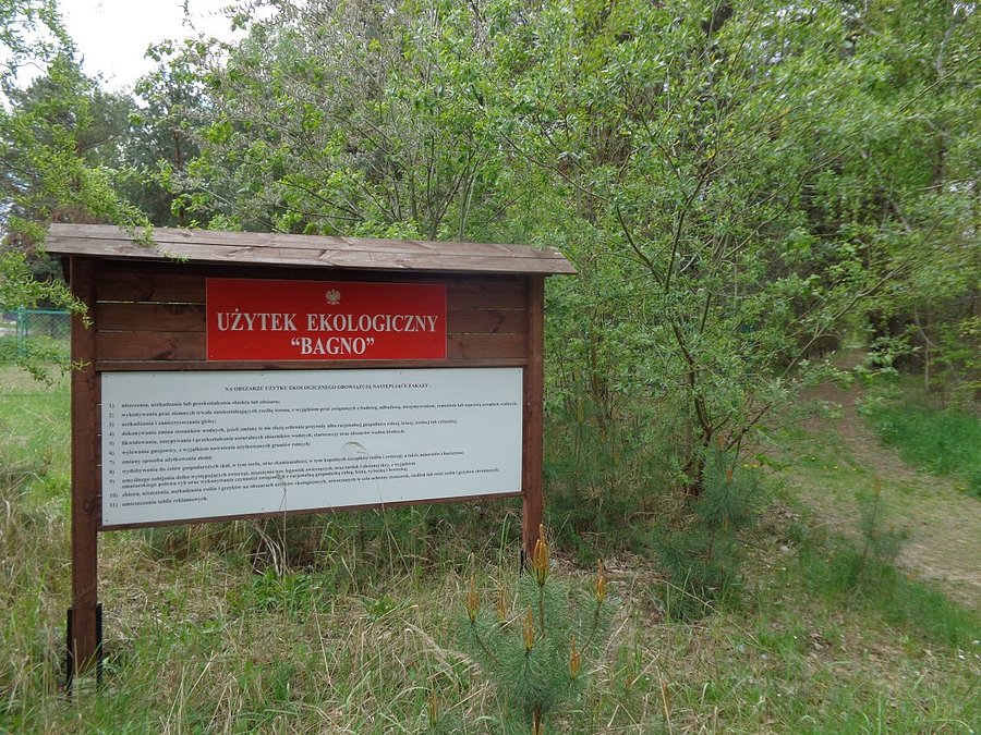 Małe Bagno