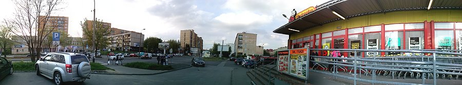 Czeladzka Biedronka