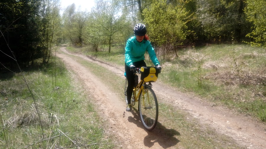 Kudłata w akcji