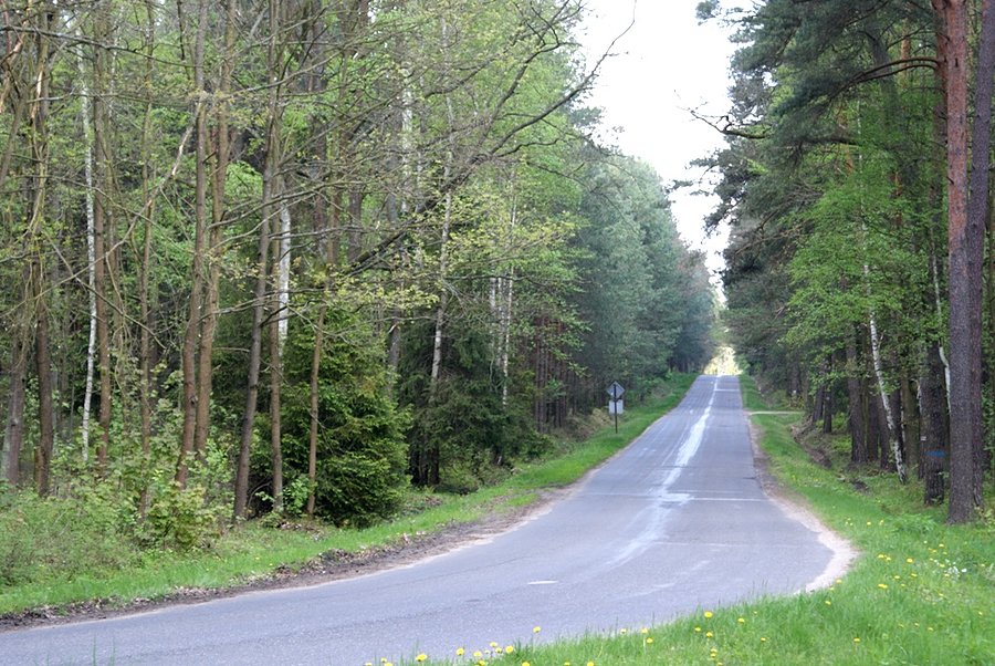 Stamtąd przyjechałam