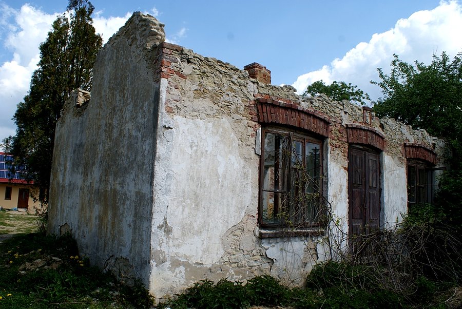 Ruina