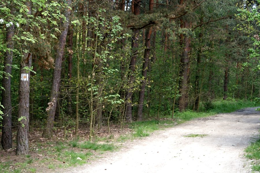 Na szlaku konnym