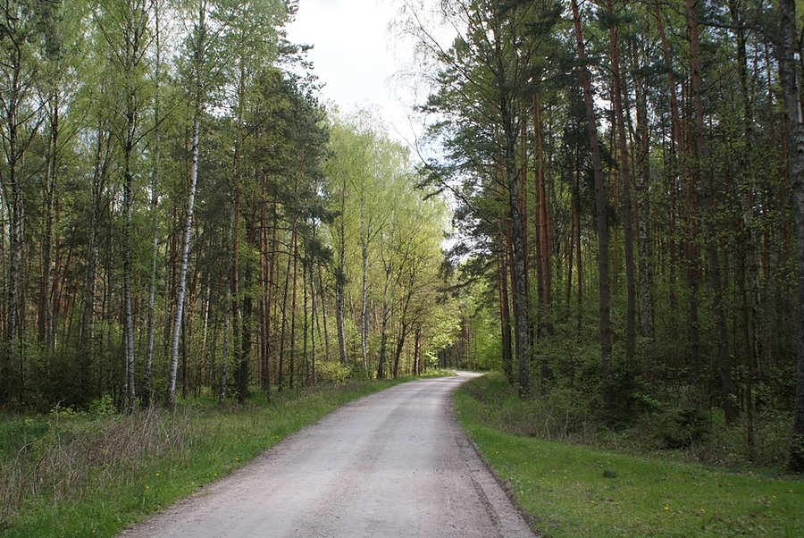Żółtym rowerowym