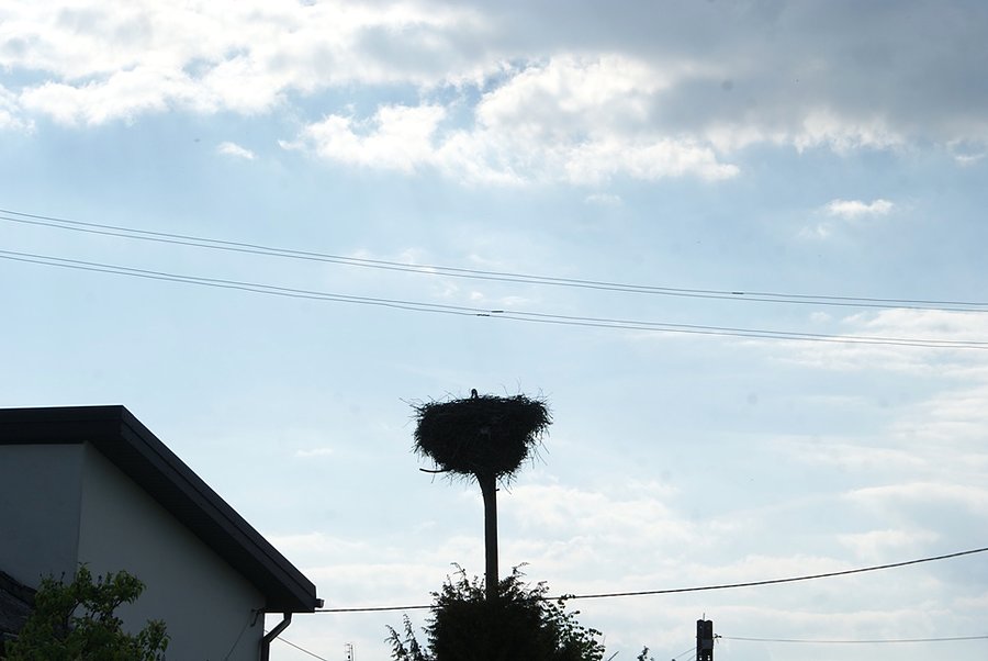 Co tam robisz? na spanie chyba za wcześnie