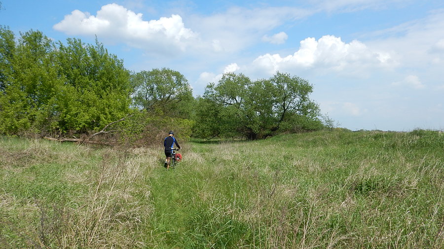 Nad Wartą