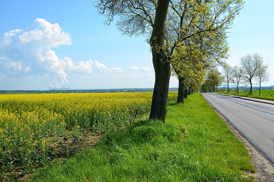 Elektrownia Bełchatów z drogi na Pajęczno