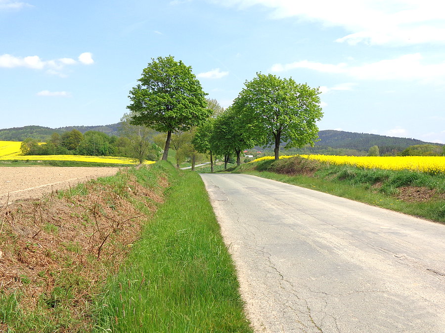 Szosa Wiry-Tąpadła