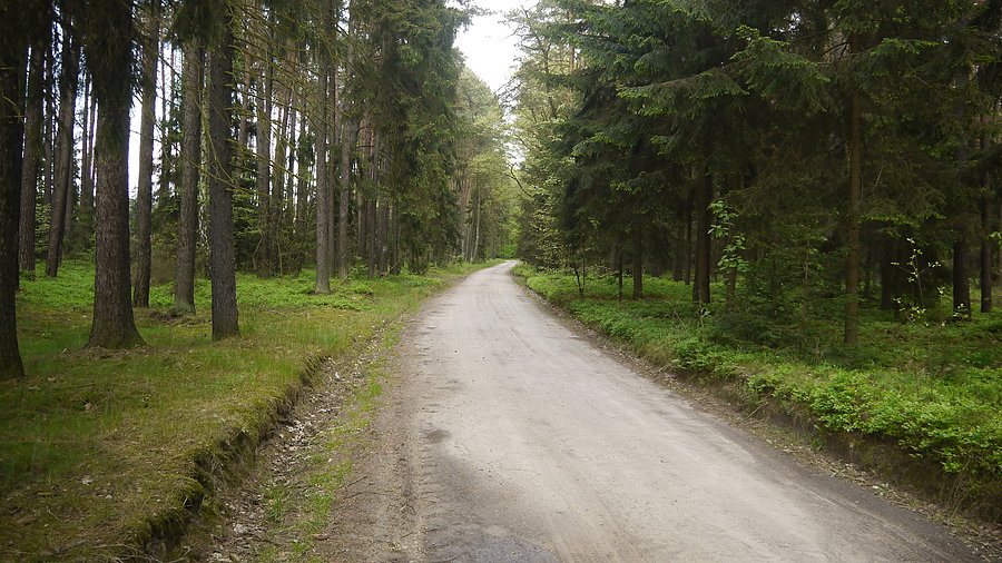 Międzyrzecz - okolice Głębokiego