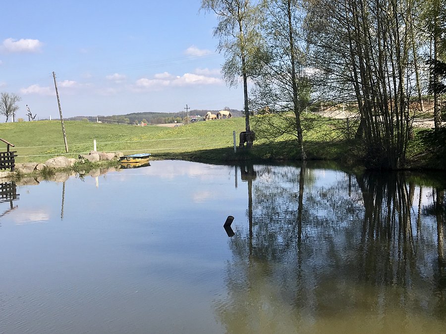 Stawek koło Łapalic