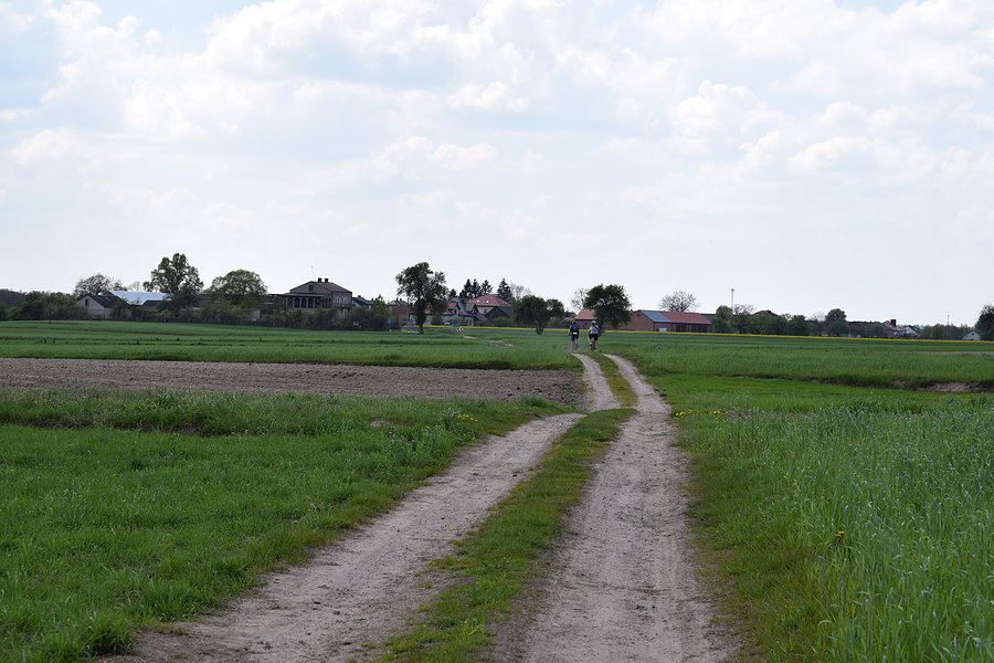 Ładnie się wije pośród pól - Michalin